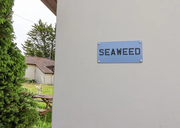 Seaweed